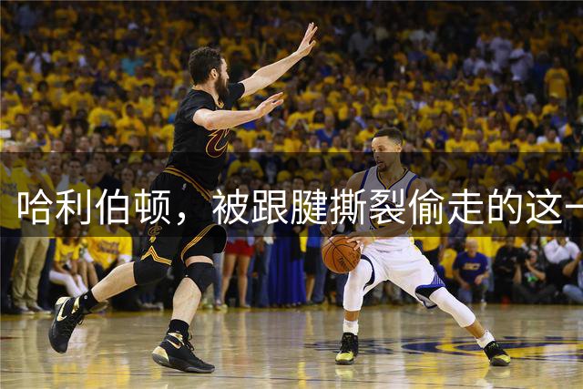 哈利伯顿，被跟腱撕裂偷走的这一年
