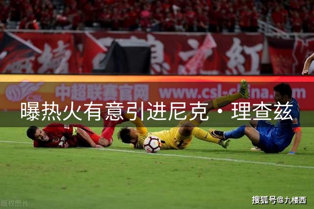 曝热火有意引进尼克·理查兹